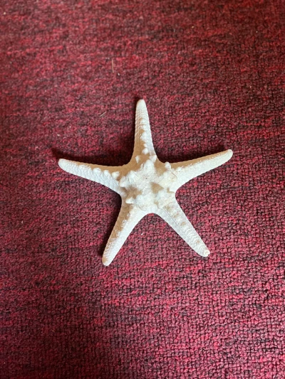 Star Shell